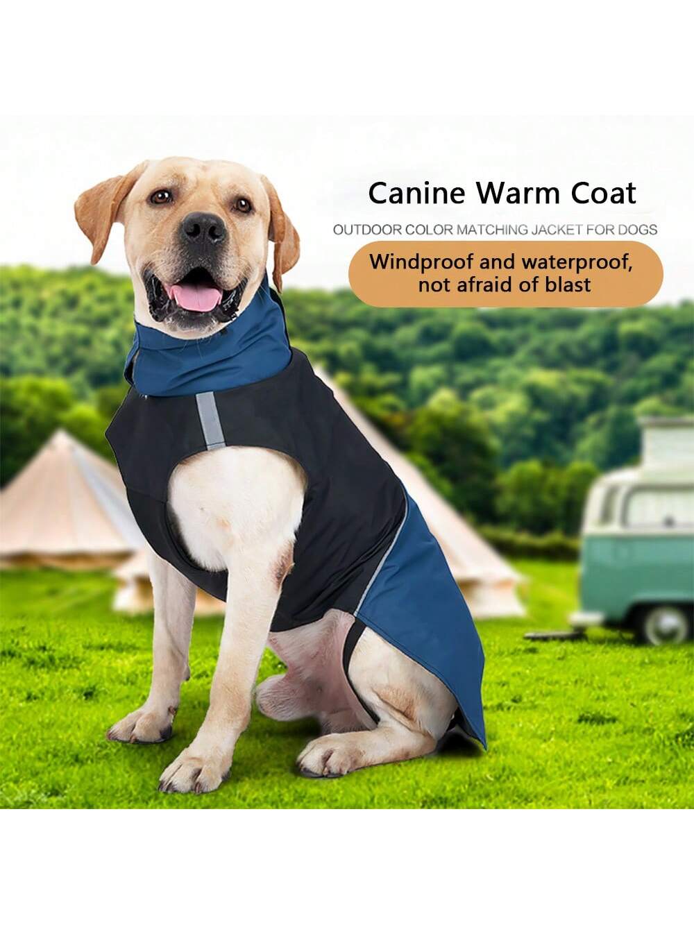 Outdoor Camping Vest - Rüzgar Geçirmez Su Geçirmez Köpek Sıcak