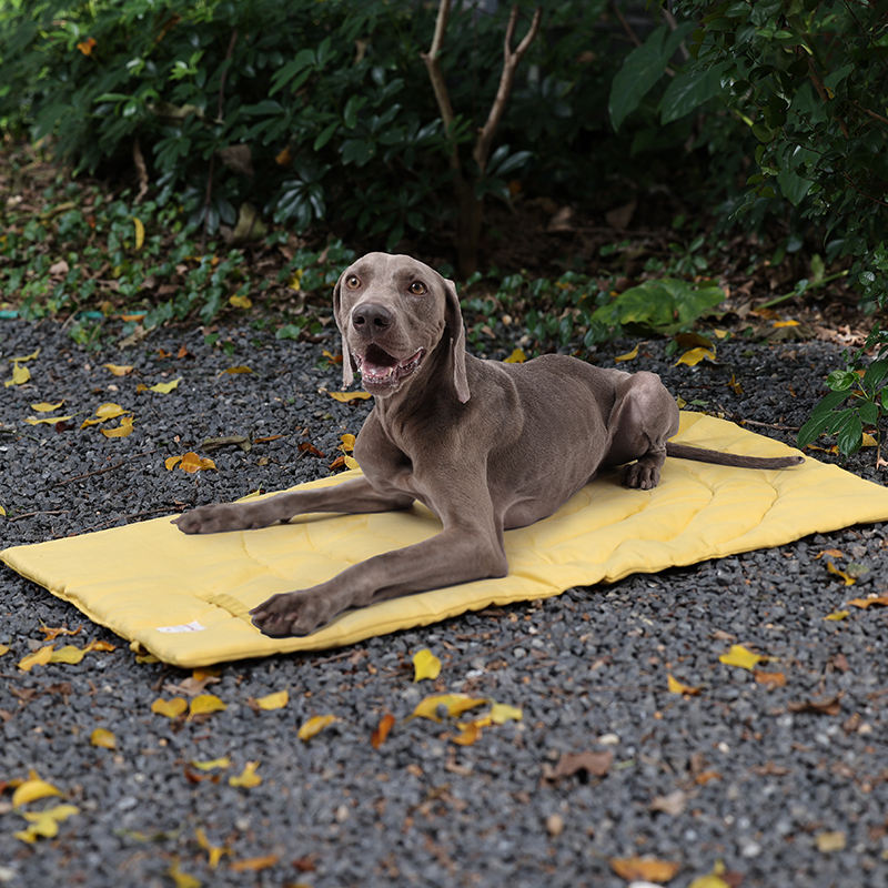 Taşınabilir Pet Mat katlanabil - Outdoor Camping Floor Mat incelemesi ve fiyatı