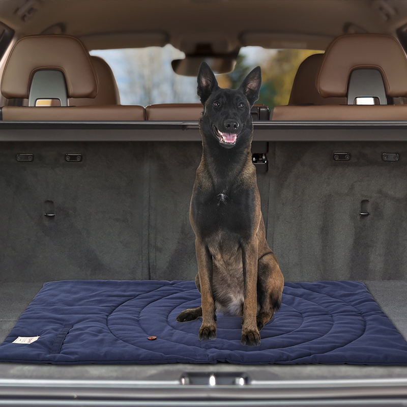 Taşınabilir Pet Mat katlanabil - Outdoor Camping Floor Mat incelemesi ve fiyatı